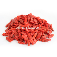 Baies de goji pur nounours dodu et séché